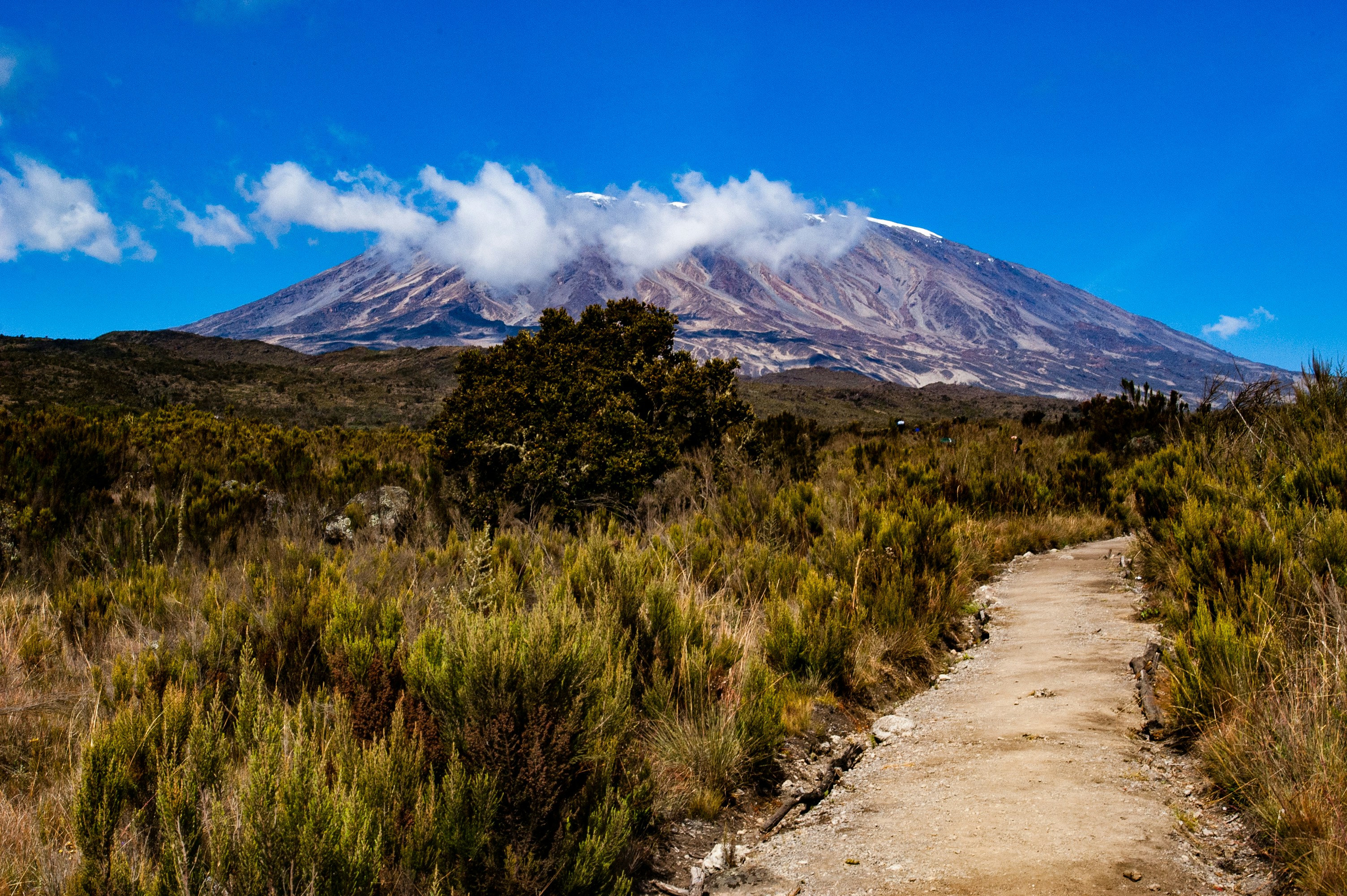 Kilimanjaro 7 Day Rongai Route