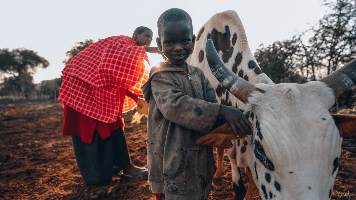 Maasai child with cow